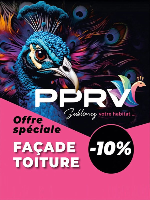 Offre rénovation de façade et toiture